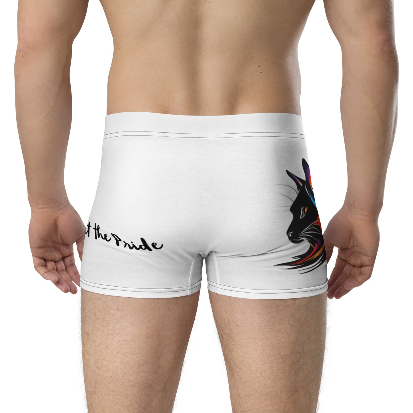 Henley's Pride Boxer Briefs