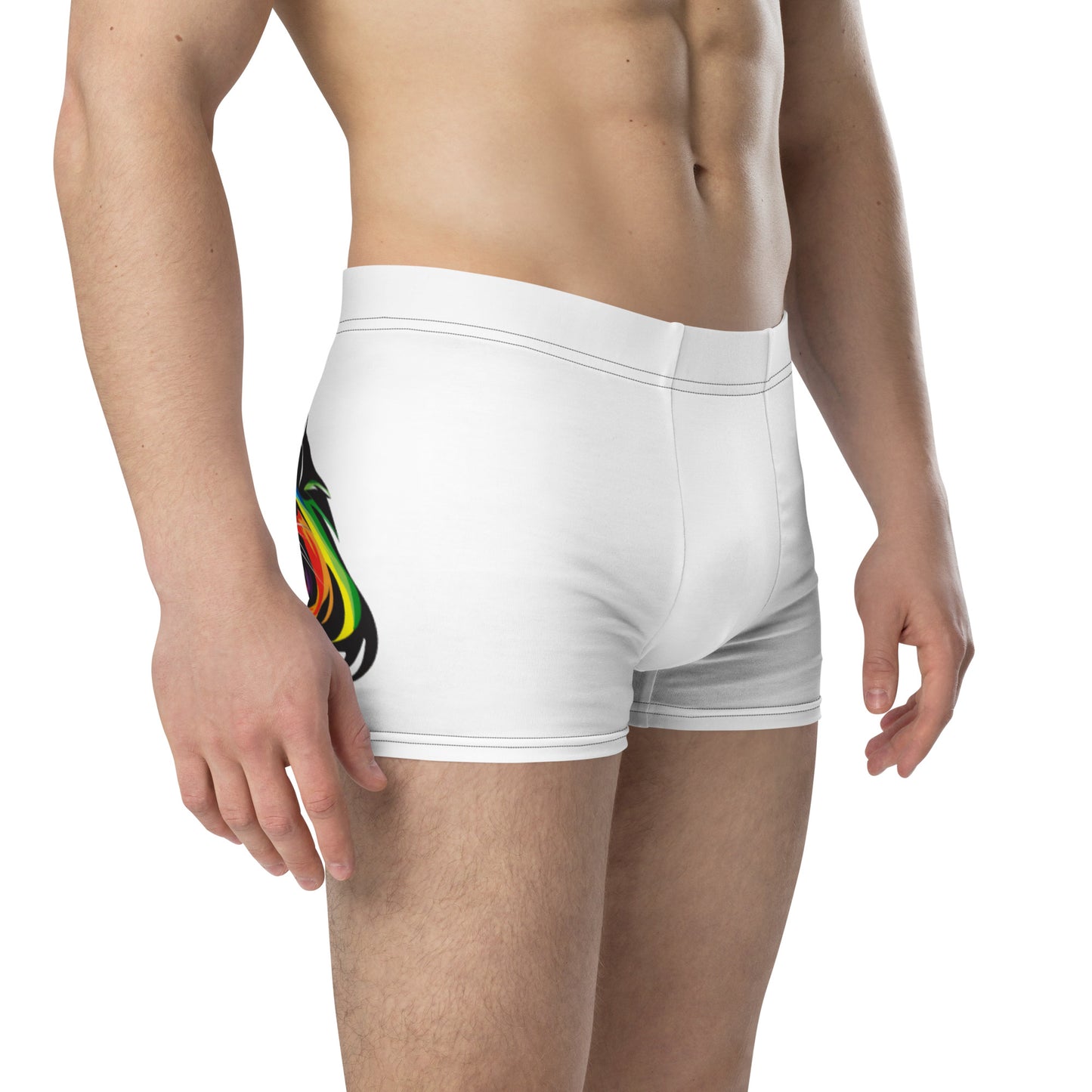 Henley's Pride Boxer Briefs